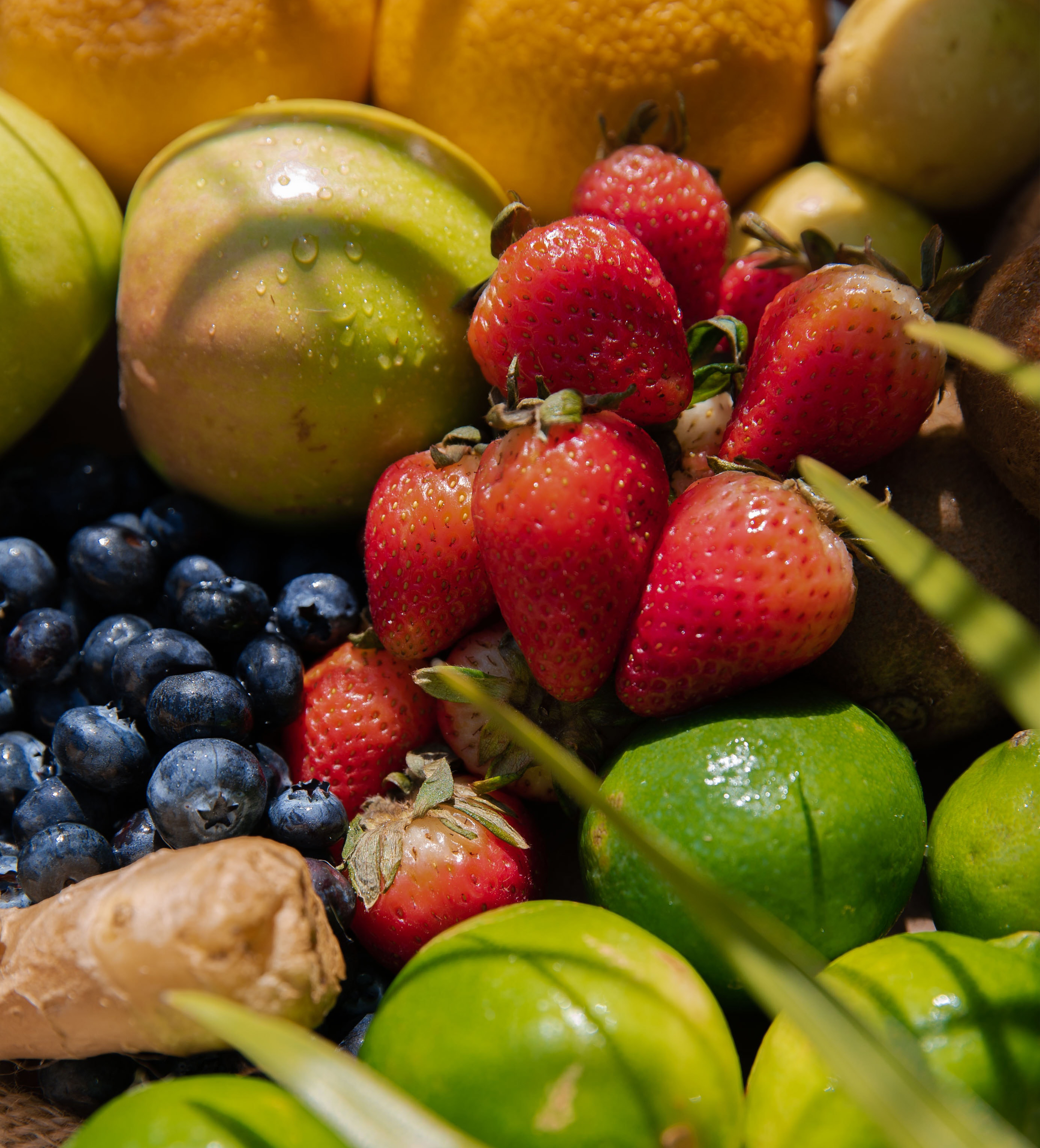 Fruit Flavors